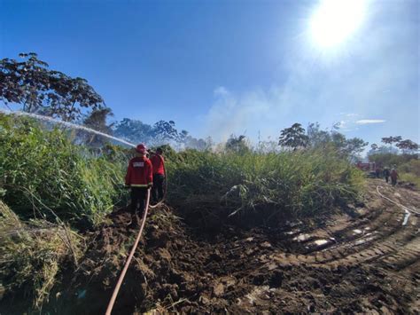 Emergencia ígnea incendios de basura y maleza lideran las