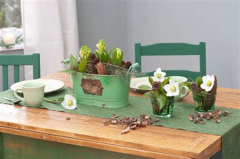 Gruene Metall Jardiniere Mit Hyacinthus Bild Kaufen 12366265