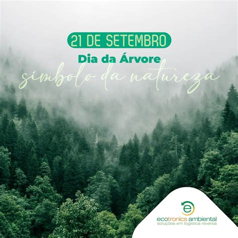 De Setembro Dia Da Rvore Ecotronics Ambiental Solu Es Em