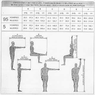 De todo un poco Antropometría para el diseño