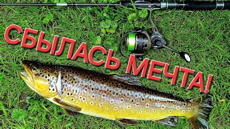 Ловим ручьевую Форель!#fishing #рыбалка #спиннинг #рыбалканаспиннинг # ...