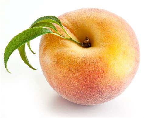 Two Ripe Peach With Leaves Stock Photo Image Of Ripe