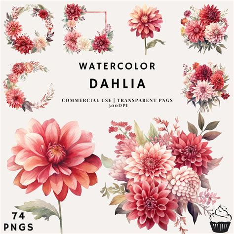 Watercolor Dahlias Flower Bouquet Bundle Clipart PNG Commercial Use ...