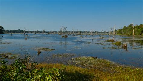 Neak Pean - a special temple in the middle of a sump landscape - Siem Reap