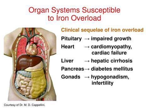 Ppt Diagnosis Of Iron Overload Powerpoint Presentation Free Download