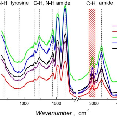 Ir Spectra Of Z Lb1 Z Lb3 Z Lb8 Z Aam And Z Meoh Zein Films Download Scientific Diagram