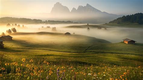 Trees Mountains Dolomite Alps Nature Hills Cabin Flowers