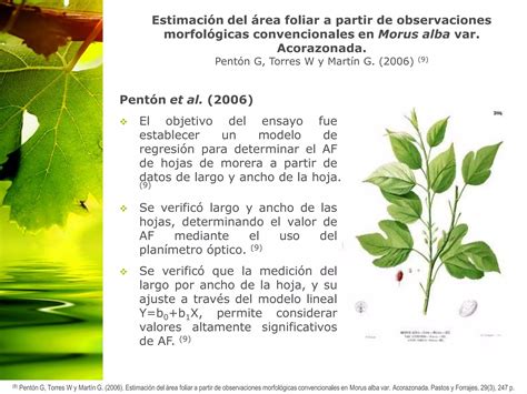 Aplicación de las Técnicas de Medición del Área Foliar PPT