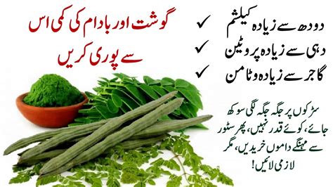 Sohanjna Ki Phali Ke Fayde Moringa Ki Phali Ke Fayde Sohanjna