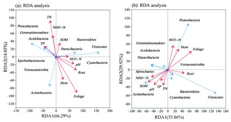 Rda Analysis Of Bacterial Communities In The Rhizosphere Of I Tectorum