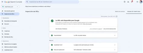 Cómo indexar una web en Google Rober Flores