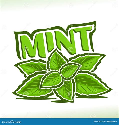 Vector Logo For Mint Herb Stock Vector Illustration Of Herbal 98293574