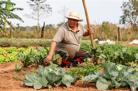 Koica Y Mag Extienden Proyecto Que Fomenta La Agricultura Sostenible Y