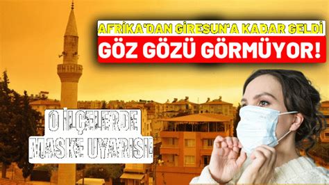 Afrika dan Giresun a kadar geldi Göz gözü görmüyor O ilçelerde maske