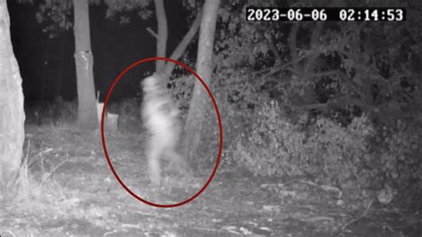 Most Disturbing Creatures Ever Caught On Trail Cam 2023 YouTube