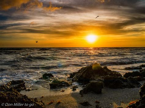 Wallpaper Sunlight Birds Sunset Sea Rock Nature Shore Sand