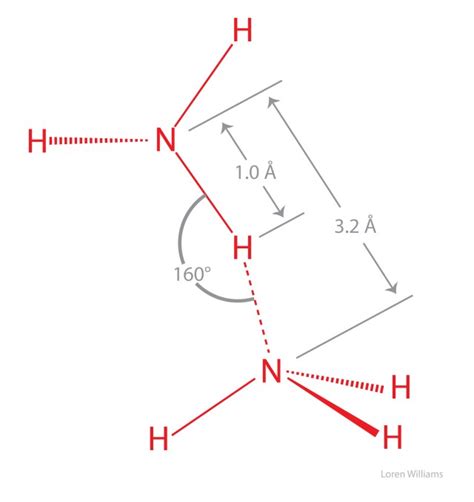 Lewis Dot Diagram For Nh3 - exatin.info