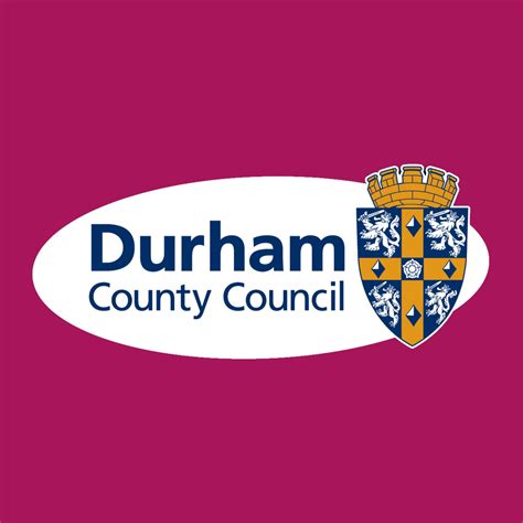 Durham County Council Fostering - We don't need flu on top of