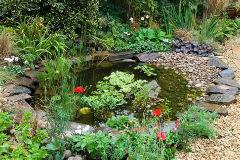 How To Make A Wildlife Pond In Your Garden Garden Likes