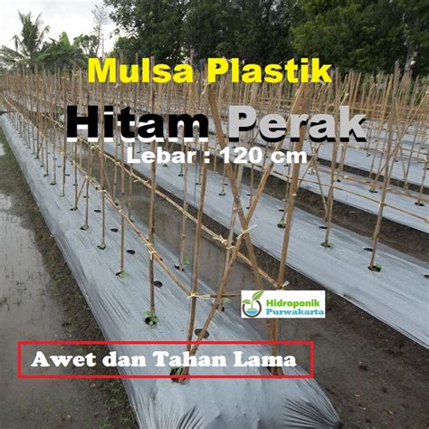 Jual Plastik Mulsa Hitam Perak Penutup Tanah Bedengan Lebar