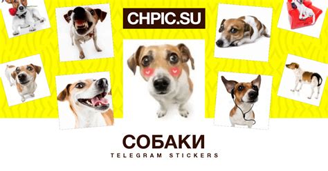 собаки Telegram stickers