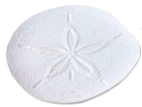 Round White Ceramic Sand Dollar Platter By Mud Pie Wilford Lee