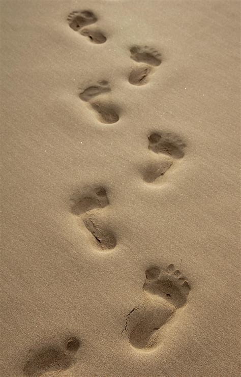 Footprints In The Sands Of Time Photograph By Lara Wijesuriya