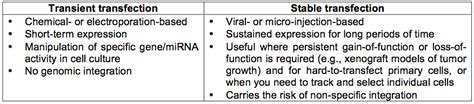 Principles And Mechanisms Of Mammalian Cell Transfection Bitesize Bio