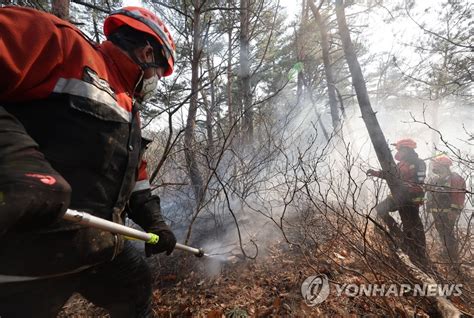 동해안산불 한달 ③ 역대급 피해에 갈 길 먼 응급복구 살 집 걱정 韓聯社