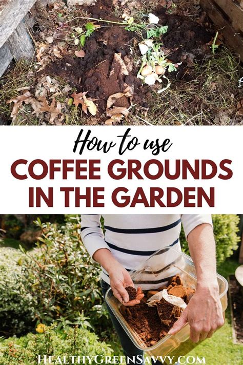 The Best Ways To Use Coffee Grounds In The Garden Artofit