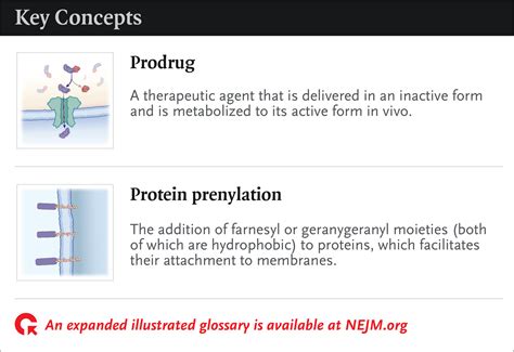 Bempedoic Acid And The Prevention Of Cardiovascular Disease New