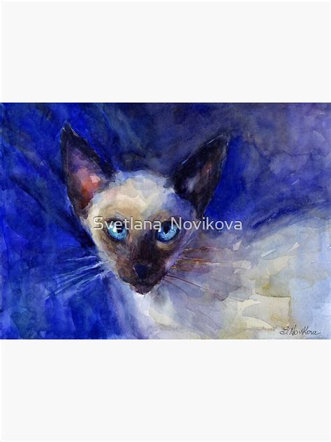 Watercolor Siamese Cat Painting Svetlana Novikova Art Print By Novikova Art Redbubble