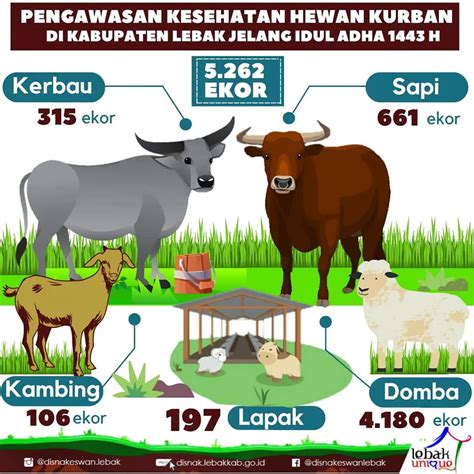 Pengawasan Kesehatan Hewan Kurban Di Kabupaten Lebak Jelang Idul Adha