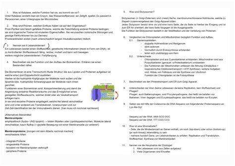 Fragenkatalog Übungen zur Ka Zellbiologie Studocu