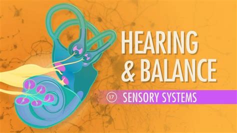 Hearing Balance Crash Course A P Science Health And Physical