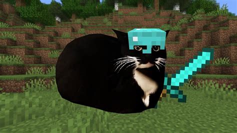 Maxwell The Cat But In Minecraft Places Youtube