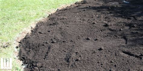 What S The Difference Between Topsoil Compost And Potting Mix