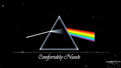 PINK FLOYD COMFORTABLY NUMB 8D MUSIC YouTube