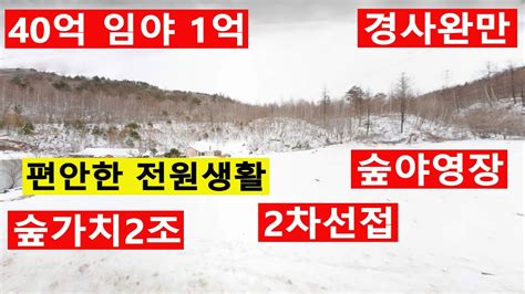 낙찰 강원 태백시 창죽동 산78 14 임야164294㎡4969894평 숲가치2조479억 탄소권3163만원 숲야영장캠핑교회