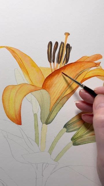 Louise De Masi On Instagram Watercolor Lilies A Decompression