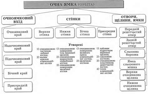 Схеми