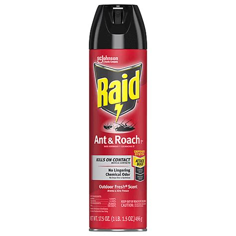 Raid Outdoor Fresh Scent Ant Roach Killer 26 17 5 Oz Pest Control