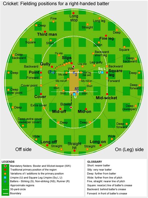 Cricket Fielding Positions - Your Comprehensive Guide