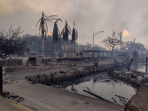 Es Como El Apocalipsis Las Impresionantes Imágenes De Los Incendios