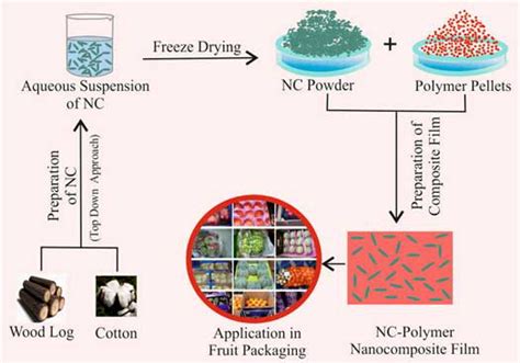 Nanocellulose Polymer Composites For Applications In Food Packaging