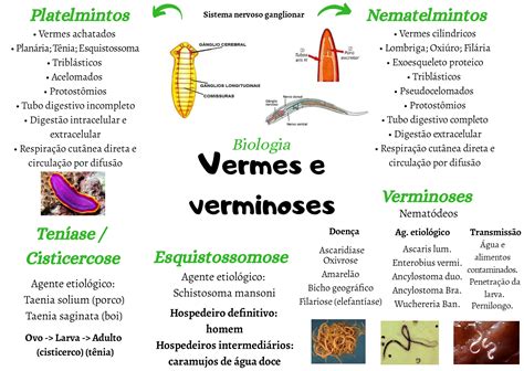 VERMES E VERMINOSES Biologia