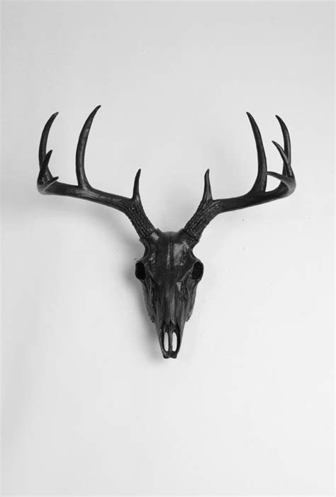 White Faux Taxidermy The Deer Skull In By Whitefauxtaxidermy Deer Skull