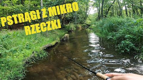 Mikro Rzeczka Pierwsze Pstr Gi W Yciu Youtube