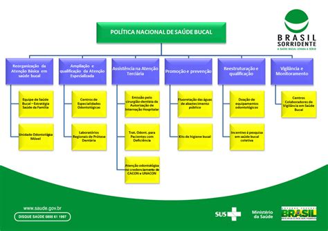 Saúde Bucal Organograma Da Política Nacional De Saúde Bucal