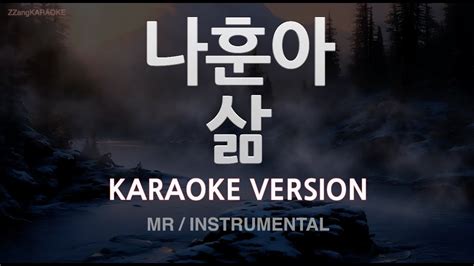 짱가라오케노래방 나훈아 삶 Mrinstrumental Zzang Karaoke Youtube